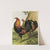 Black-Breasted Red Game (1867) by Harrison Weir