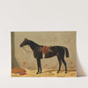 Black Horse in the Stable by Emil Volkers
