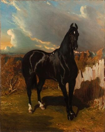 Black Knight