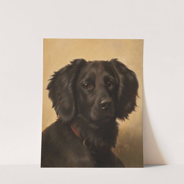 Black Setter by Johannes Christian Deiker