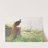 Black-Winged Peafowl by George Edward Lodge