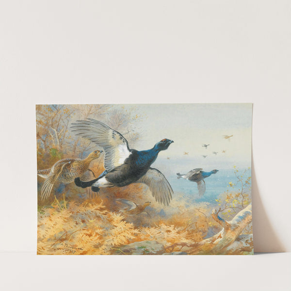 Blackcock Forward (1927) by Archibald Thorburn