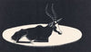 Blesbok