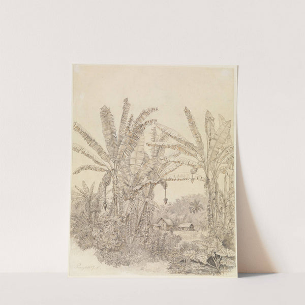 Blick auf einige Häuser im Urwald beim Parahyba (1859) by Ferdinand Keller