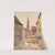 Blick von der Stallburggasse zur Michaelerkirche by Karl Wenzel Zajicek