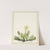Bloeiende Mesembryanthemum by Laurens Vincentsz. van der Vinne