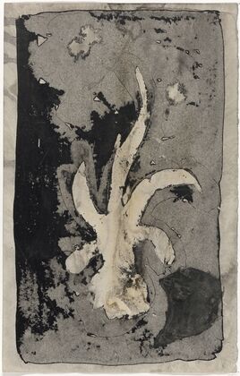 Bloem (orchidee), 1874 – 1945