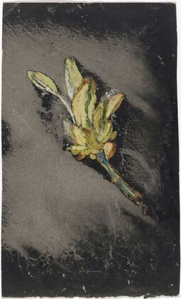 Bloem V