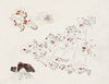 Bloemen