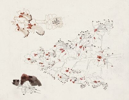 Bloemen