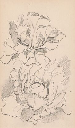 Bloemen
