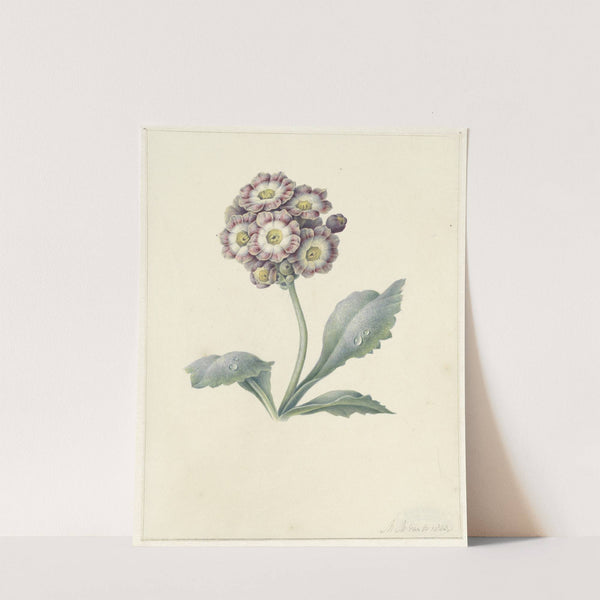 Bloemenstudie by Maria Margaretha van Os