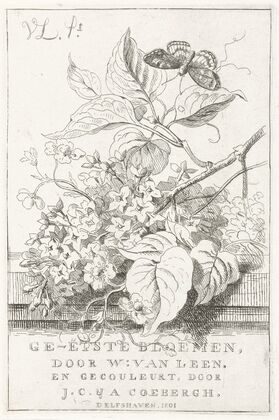 Bloemenstudie met vlinder