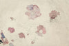 Bloemenstudies in paars en roze