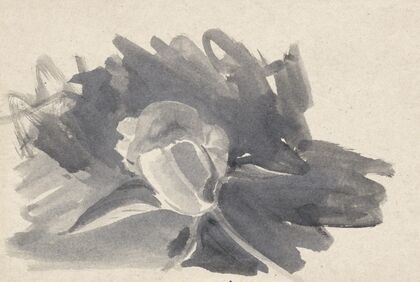 Bloemstudie