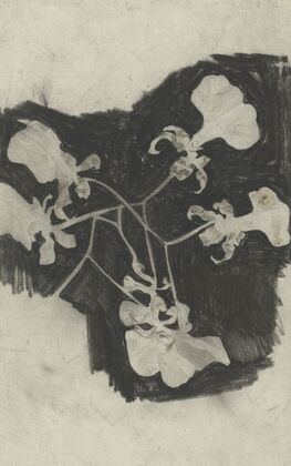 Bloemstudie