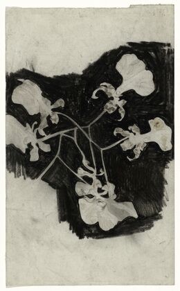 Bloemstudie III
