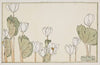 Blood Root