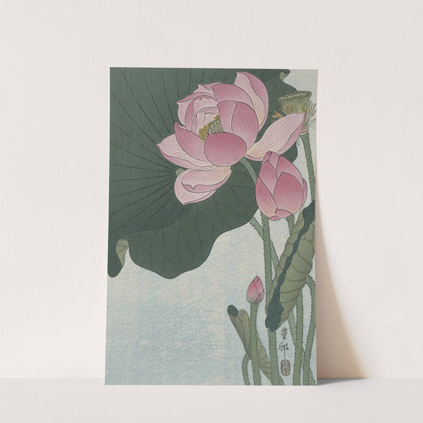 Blooming lotus flowers by Ohara Koson