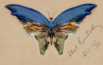 Blue Butterfly (1896)