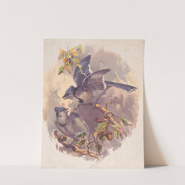 Blue Jays (1875) by Henry Walker Herrick