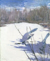 Blue Jays In Winter, Study For Book Concealing Coloration In The Animal Kingdom