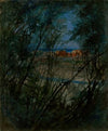 Camas (Quamasia quamash) (1916)