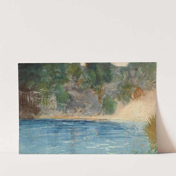 Blue Spring, Florida by Winslow Homer