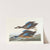 Blue-winged teal by John James Audubon