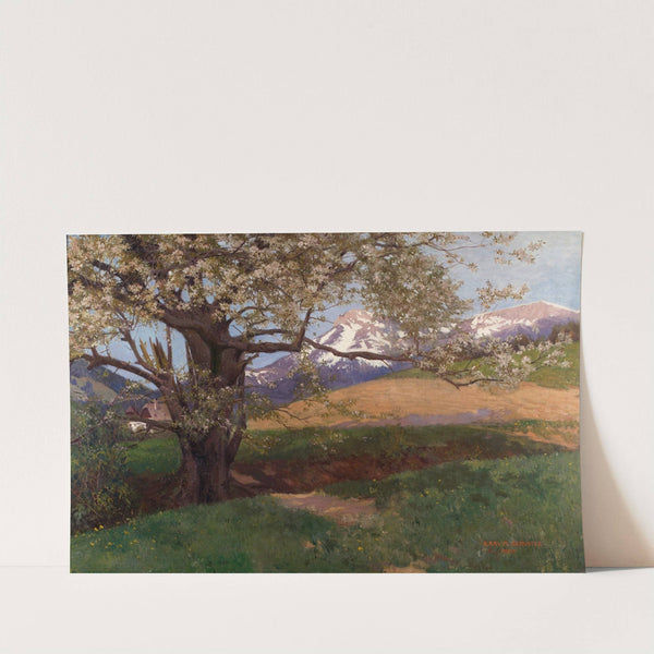 Blühender Kirschbaum (1905-1906) by Karl Maria Schuster