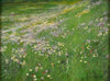 Blumenwiese bei Weßling (between 1915 and 1920)