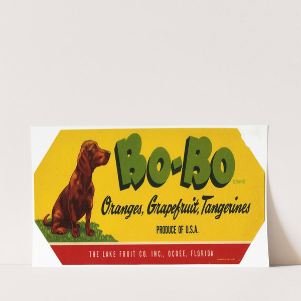 Bo-Bo Brand Citrus Label (1930-1950)