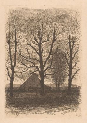 Boerderij tussen hoge bomen, Ewijkshoeve