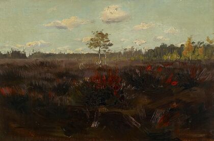 Bog in Lapland