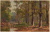 Boggy Forest (1892-1910)