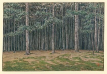 Bois de Boulogne (1903)