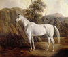 BOLIVIA (1836)