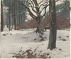Bomen in de sneeuw