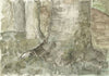 Bomen