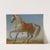 Bonaparte’s Arab Stallion, ‘marengo’ by Antoine-Jean Gros