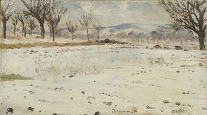 Bonn am Rhein. Winter Landscape