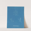 Bonnemaisonia asparagoides by Anna Atkins