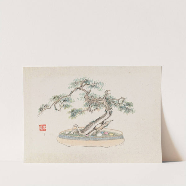 Bonsai kabenzu, Pl.02 (1868-1912)