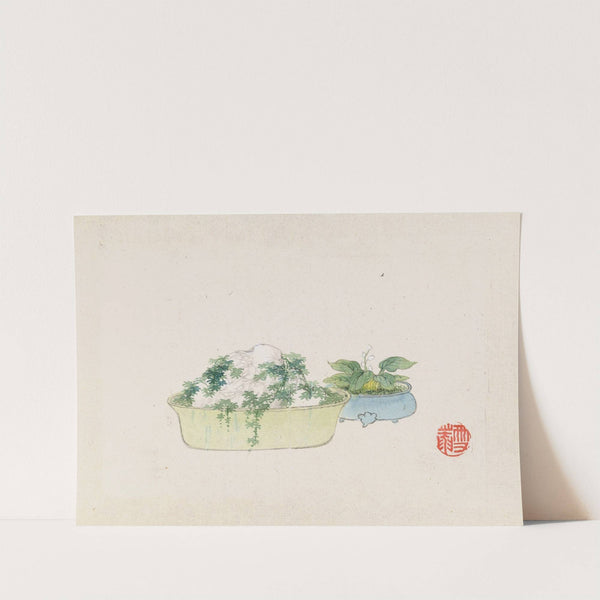 Bonsai kabenzu, Pl.10 (1868-1912)