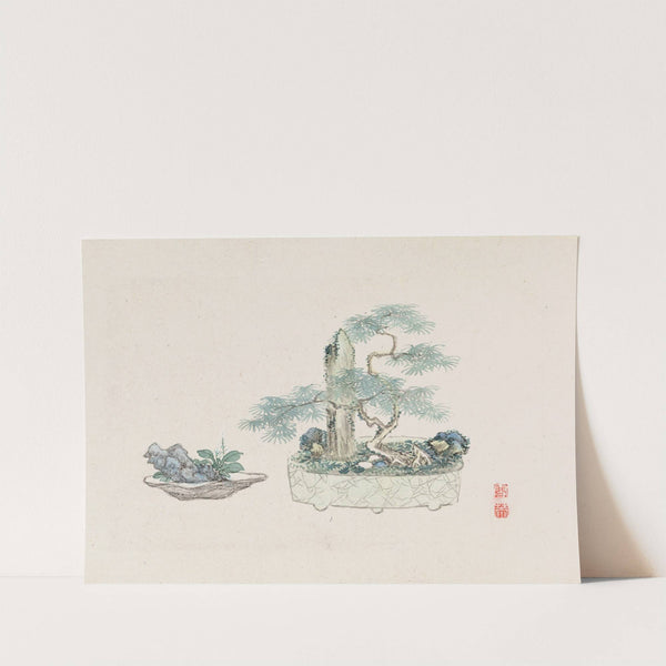 Bonsai kabenzu, Pl.21 (1868-1912)