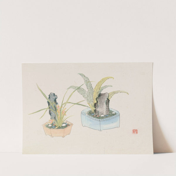 Bonsai kabenzu, Pl.26 (1868-1912)