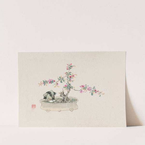 Bonsai kabenzu, Pl.27 (1868-1912)