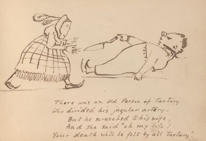 Book of nonsense Pl.13