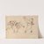 Book of nonsense Pl.40 (1850-1859) by Edward Lear