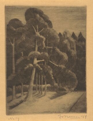 Boomgroep (1924)